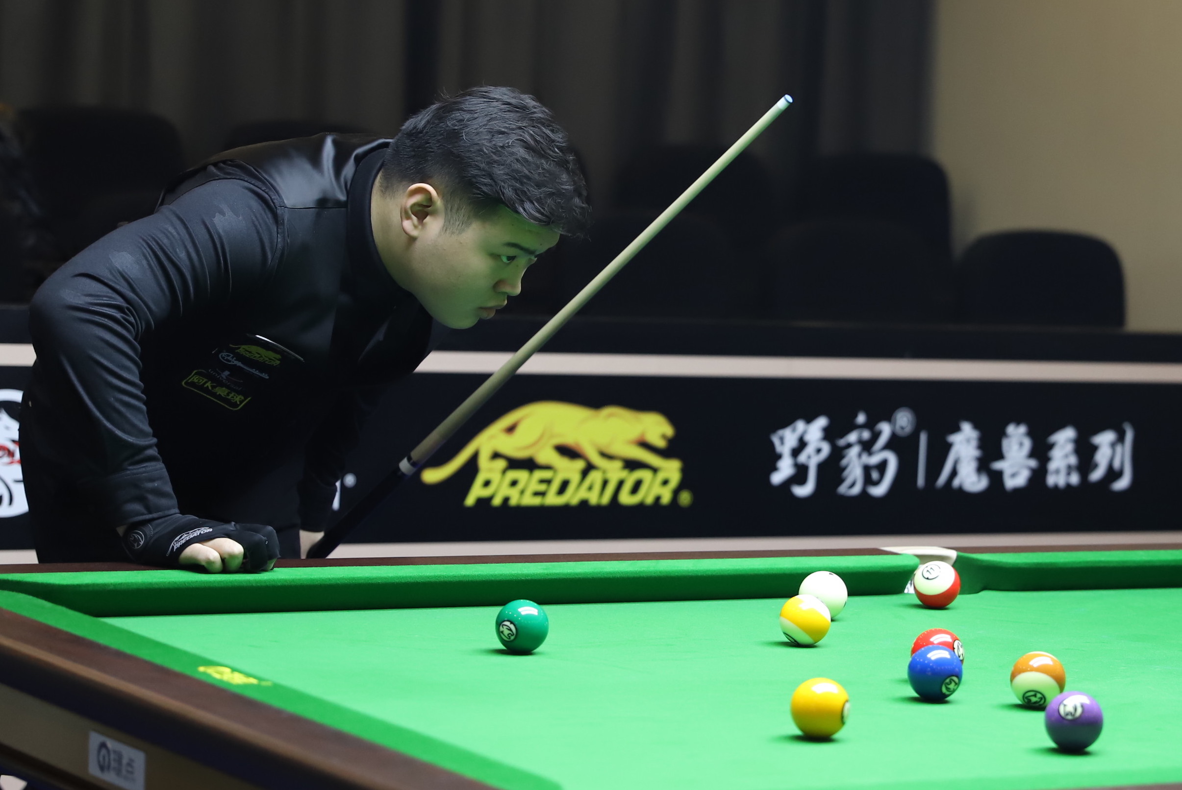 洞还是吃了 洞还是吃了